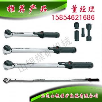 點擊查看詳細信息<br>標題：顯示扭力扳手 閱讀次數：1604
