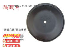 點擊查看詳細信息<br>標題：氣動隔膜泵配件-隔膜片 閱讀次數：155