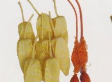 點擊查看詳細信息<br>標題：取氣樣球膽 閱讀次數：54